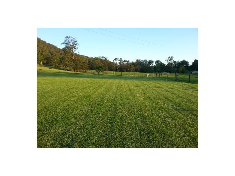 Kindee NSW 2446