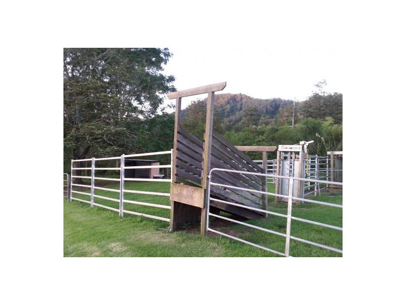 Kindee NSW 2446