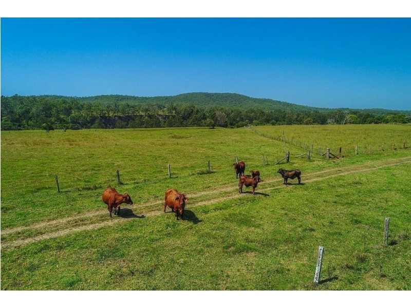 134 Turners Flat Road, Turners Flat NSW 2440