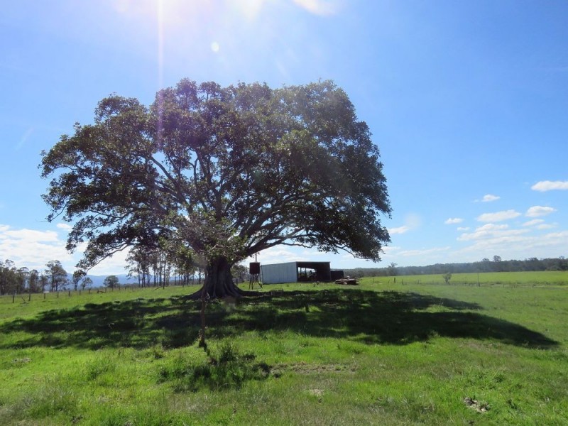 134 Turners Flat Road, Turners Flat NSW 2440