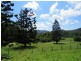 Carrai NSW 2440