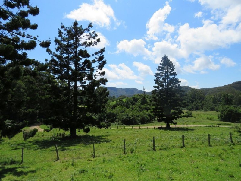 Carrai NSW 2440