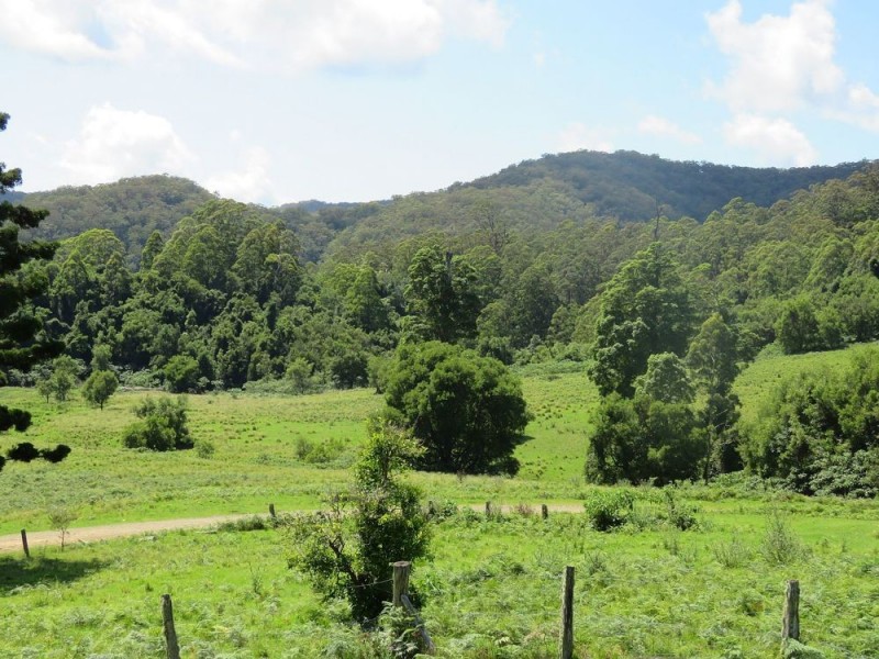 Carrai NSW 2440