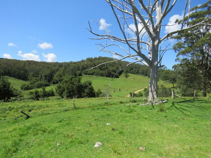 Carrai NSW 2440