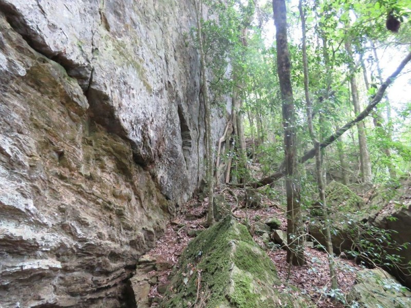 Carrai NSW 2440