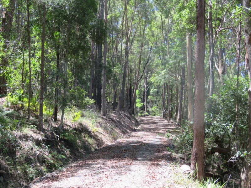 Telegraph Point NSW 2441