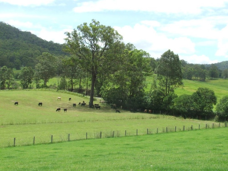 Hickeys Creek NSW 2440