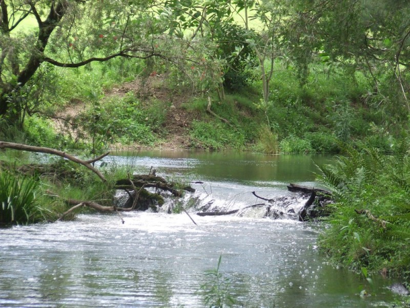 Hickeys Creek NSW 2440