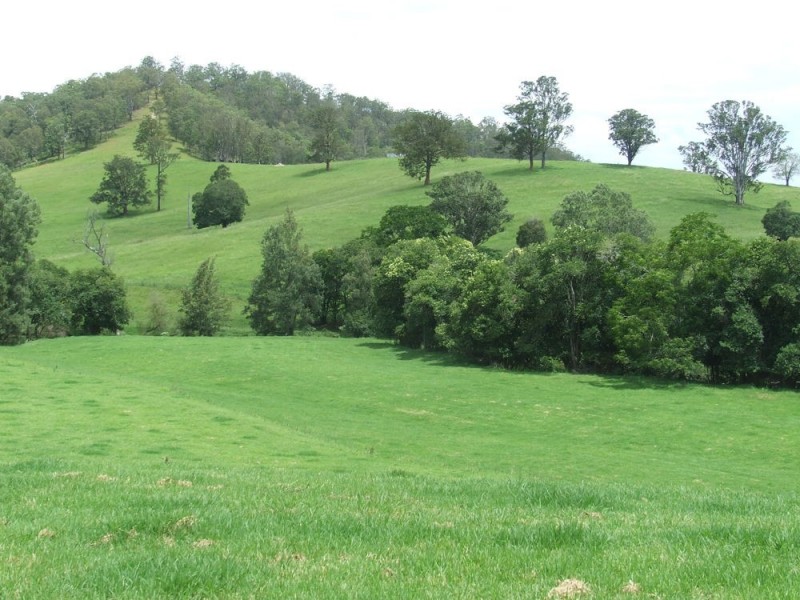 Hickeys Creek NSW 2440