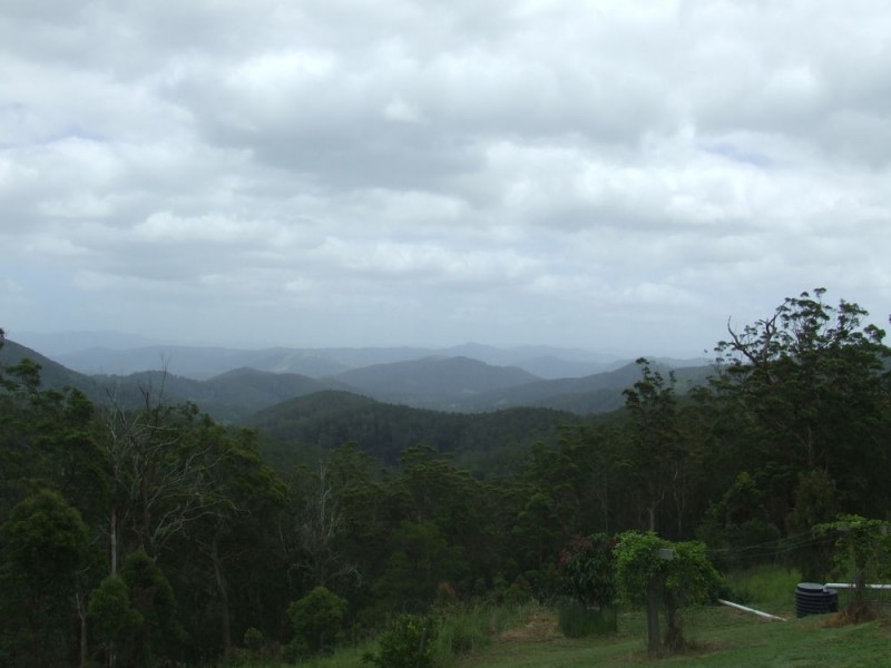 Ellenborough NSW 2446