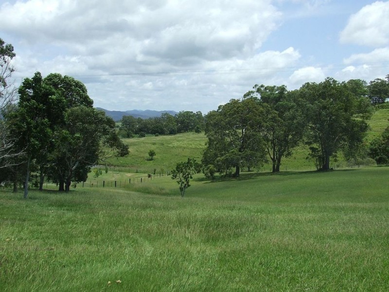 38 Channells Way, Euroka NSW 2440