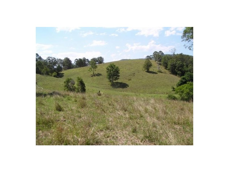 Long Flat NSW 2446