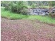 Lot 7 Rollands Plains Road, Telegraph Point NSW 2441