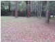 Lot 7 Rollands Plains Road, Telegraph Point NSW 2441