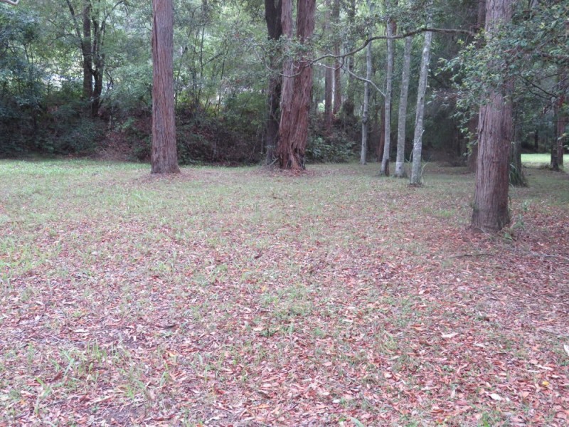 Lot 7 Rollands Plains Road, Telegraph Point NSW 2441