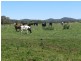 1858 Oxley H’way, King Creek NSW 2446