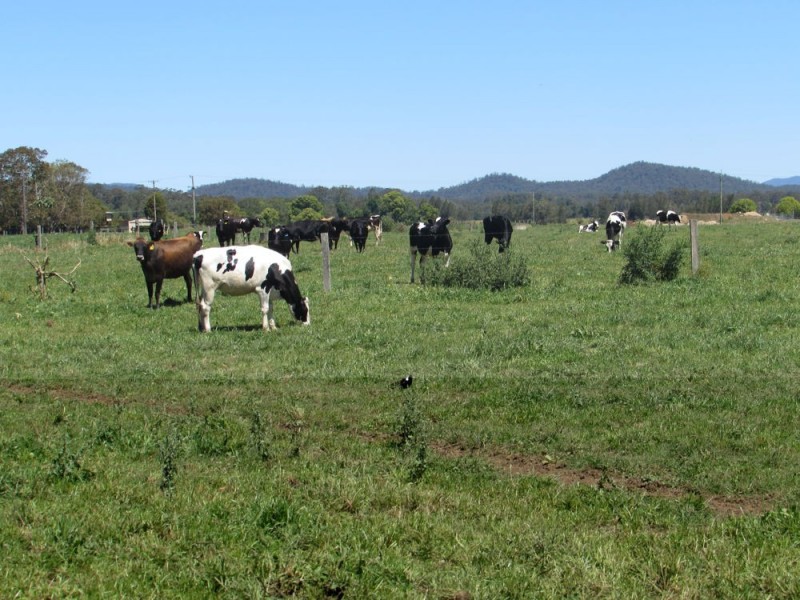1858 Oxley H’way, King Creek NSW 2446