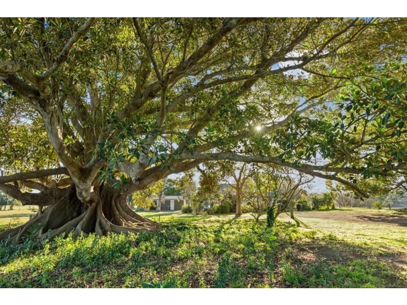 1858 Oxley H’way, King Creek NSW 2446