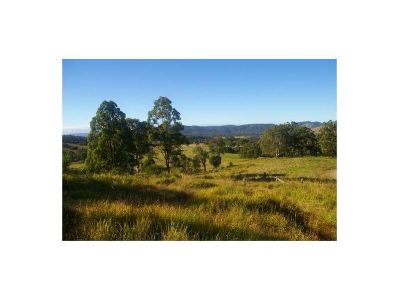 Beechwood NSW 2446
