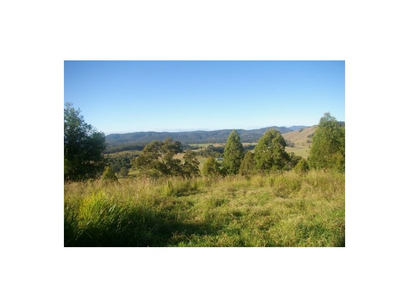 Beechwood NSW 2446