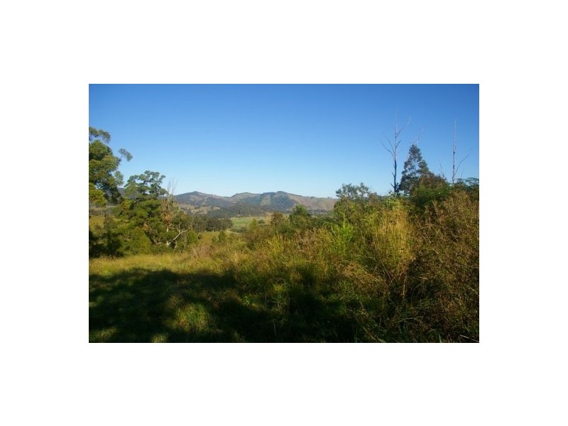 Beechwood NSW 2446