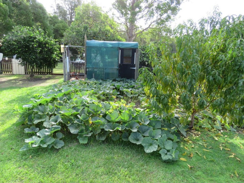 27 Mooney Street, Telegraph Point NSW 2441