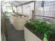 27 Mooney Street, Telegraph Point NSW 2441