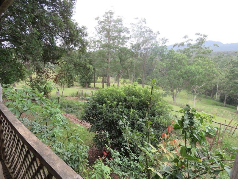 1725 Nulla Nulla Crk Rd, Bellbrook NSW 2440