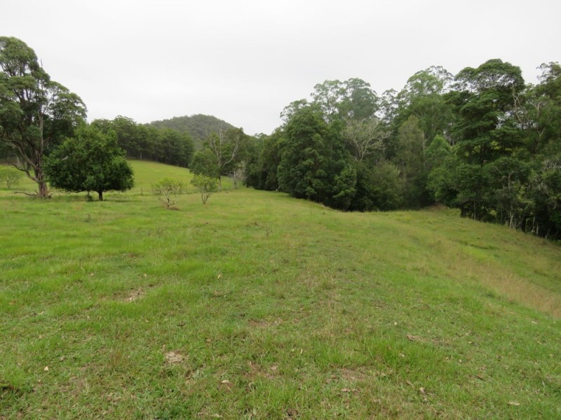 1725 Nulla Nulla Crk Rd, Bellbrook NSW 2440