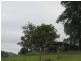 1725 Nulla Nulla Crk Rd, Bellbrook NSW 2440