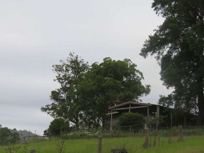 1725 Nulla Nulla Crk Rd, Bellbrook NSW 2440