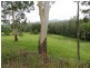 1725 Nulla Nulla Crk Rd, Bellbrook NSW 2440
