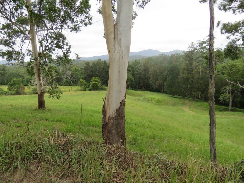 1725 Nulla Nulla Crk Rd, Bellbrook NSW 2440