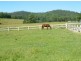 Telegraph Point NSW 2441
