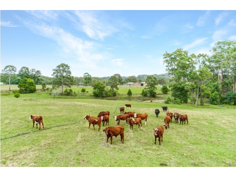 Telegraph Point NSW 2441