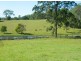 Telegraph Point NSW 2441