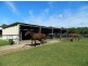 Telegraph Point NSW 2441