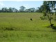 Telegraph Point NSW 2441