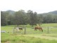 Willawarrin NSW 2440