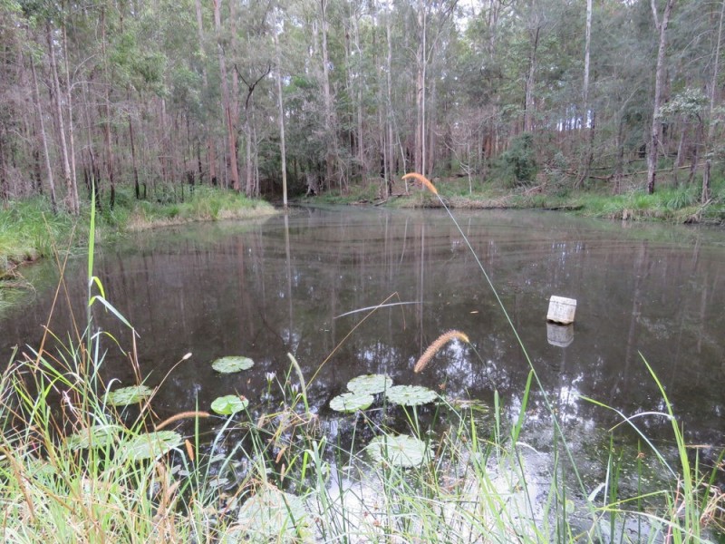 Dondingalong NSW 2440