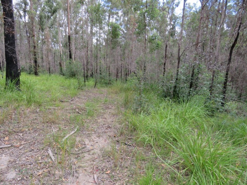 Dondingalong NSW 2440