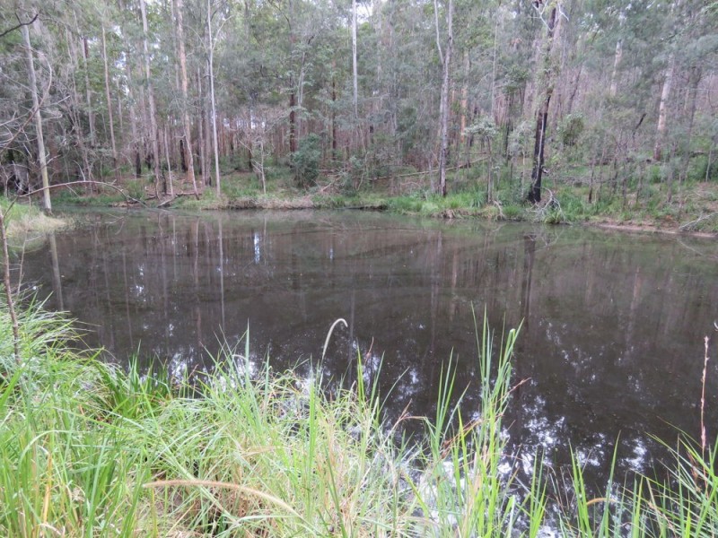 Dondingalong NSW 2440