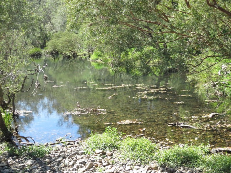 Rollands Plains NSW 2441