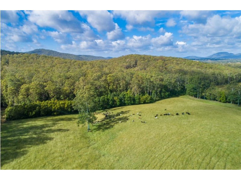 Rollands Plains NSW 2441