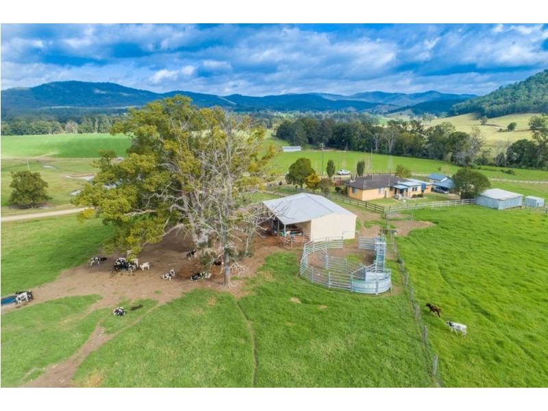 Rollands Plains NSW 2441