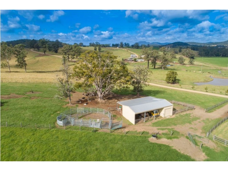 Rollands Plains NSW 2441