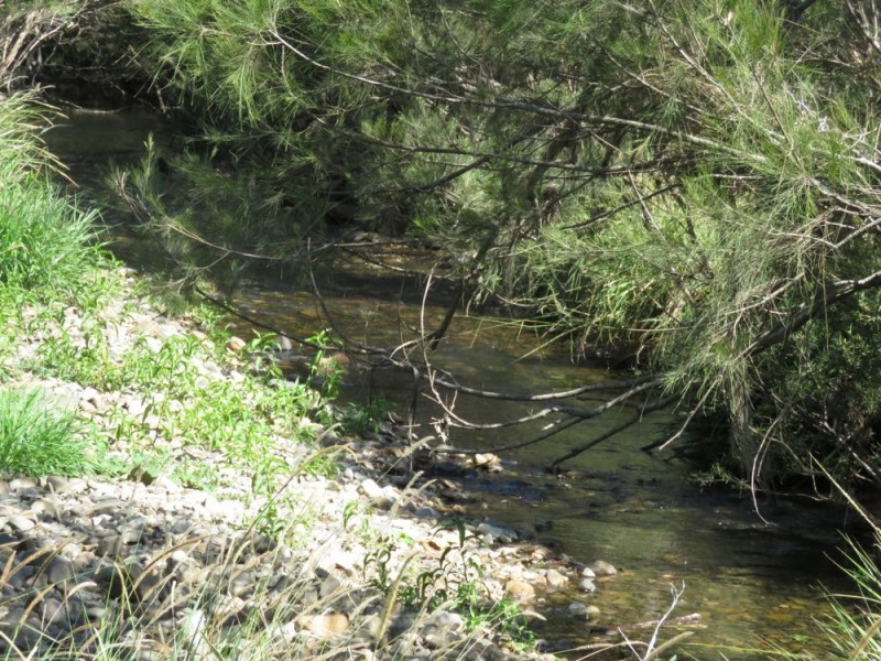 Rollands Plains NSW 2441