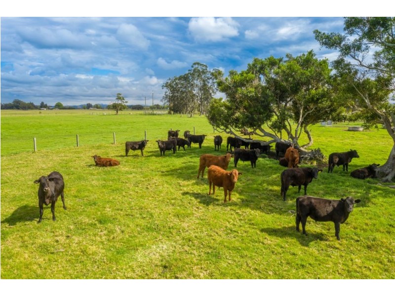 94 Kinchela Crk Left Bank Rd, Kinchela NSW 2440