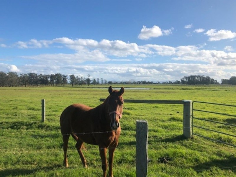 94 Kinchela Crk Left Bank Rd, Kinchela NSW 2440