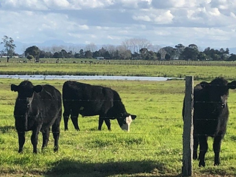 94 Kinchela Crk Left Bank Rd, Kinchela NSW 2440